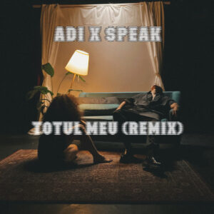 Album cover: Totul meu (Remix)