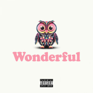 Album cover: Wonderful