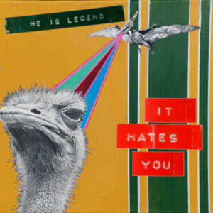 Album cover: It Hates You