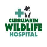 Currumbin Wildlife Hospital