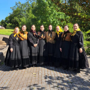 Ferrinas Bravas