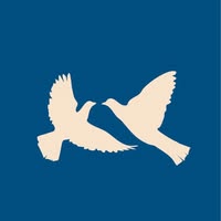 The LAROI Foundation