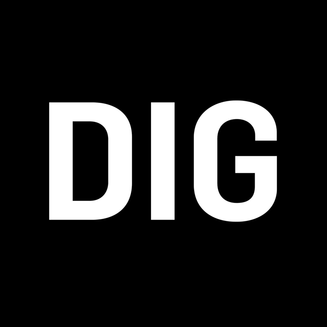 DIG INN