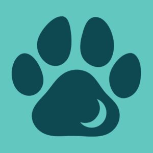 Tale Pets