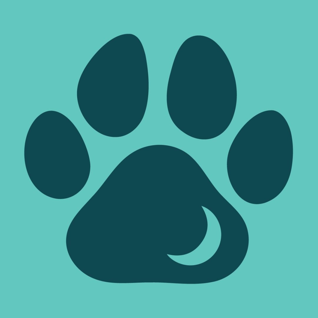 Tale Pets