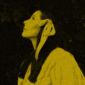 Nerina Pallot