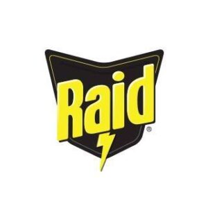 Raid