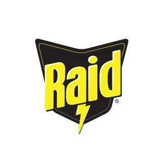 Raid