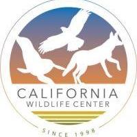 California Wildlife Center