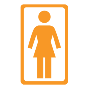 Girl Skateboards