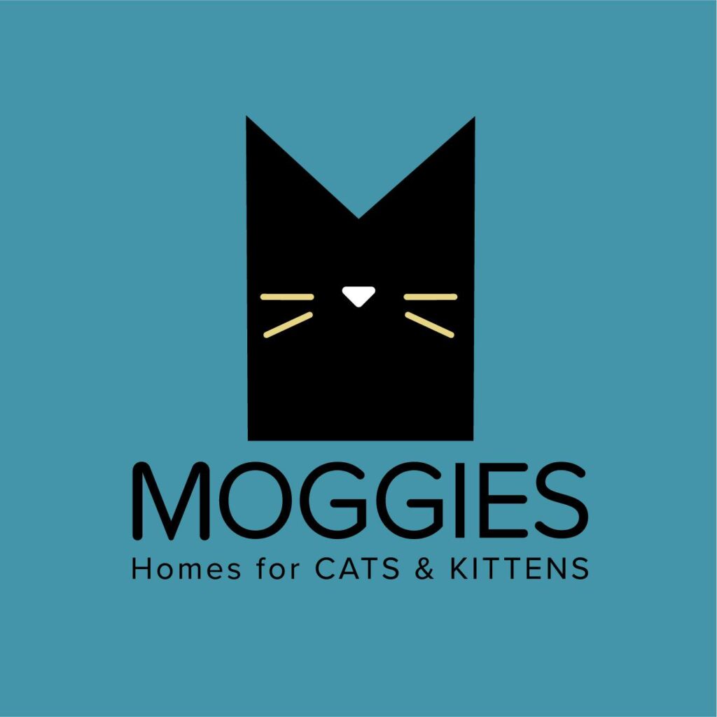 Moggies Cat Rescue