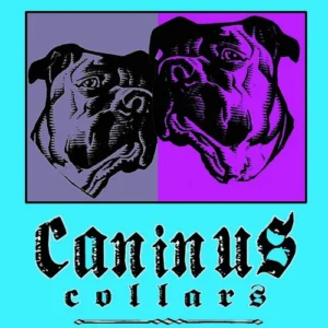 Caninus Collars
