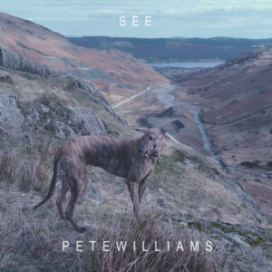 Pete Williams