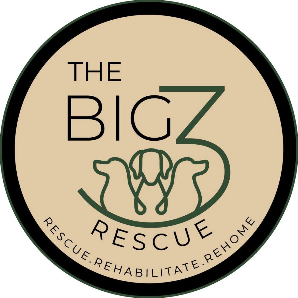 The Big 3 Rescue