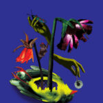 Client Image