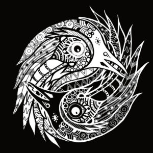 The Black Feathers